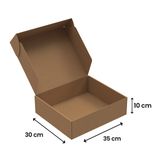35x30x10-100 Adet Kilitli E-ticaret Karton Kargo Kutusu
