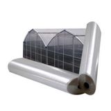 36 AYLIK 350 MİCRON SERA NAYLONU 10m X 12m