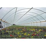 36 Aylık Sera Naylonu 360 Mikron Uv - Eva-ır-ao-ae Katkılı8 X10