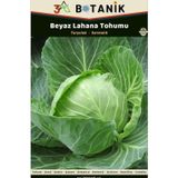 3A Botanik Beyaz Lahana Tohumu, Yapraklar Koyu Renkli Ve Ince Bir Çeşit, 2 Gram/400-600 Adet Tohum