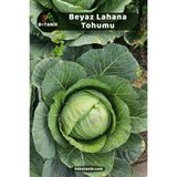 3A BOTANİK Beyaz Lahana Tohumu, Yerli Doğal Sürdürülebilir Tohum, 1.000 Adet Tohum
