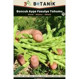 3A Botanik Boncuk Ayşe Oturak Fasulye Tohumu, Yerli ve Sürdürülebilir Tohum, 10 Gram Fasulye Tohumu
