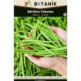 3A Botanik Börülce Tohumu, Yerli ve Sürdürülebilir Tohum, 10 Gram Börülce Tohumu