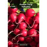 3A BOTANİK Fındık Turp Tohumu, Yerli Doğal Sürdürülebilir Tohum, 1.000 Adet Tohum