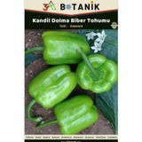 3A Botanik Kandil Dolma Biber Tohumu, Yerli Ve Sürdürülebilir Tohum