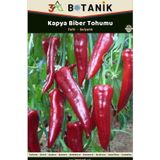 3A Botanik Kapya Biber Tohumu, Kızartmalık Közlemelik Ve Salçalık Biber Çeşidi, 2 Gram/240-300 Adet Tohum
