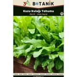 3A Botanik Kuzu Kulağı/ekşi Ot Tohumu, Yerli ve Sürdürülebilir Tohum, 3 Gram Kuzu Kulağı Tohumu