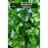 3A BOTANİK Maydanoz Tohumu, Yerli Doğal Sürdürülebilir Tohum, 5.000 Adet Tohum