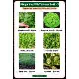 3A Botanik Mega Yeşillik Tohum Seti - 1, Toplam 30 GRAM/13.500 Adet Yeşillik Tohumu
