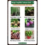 3A Botanik Mega Yeşillik Tohum Seti - 4, Toplam 25 GRAM/6.400 Adet Yeşillik Tohumu