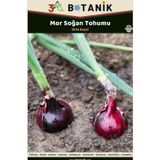 3A Botanik Mor Soğan Tohumu, Verimi Yüksek Çeşit, 2 Gram/500-700 Adet Tohum