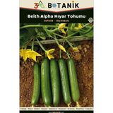 3A Botanik Sırık Salatalık Hıyar Tohumu, Yerli Ve Sürdürülebilir Tohum