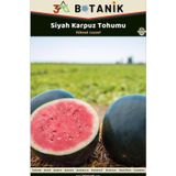 3A Botanik Siyah Karpuz Meyveleri Yuvarlak Aroması Güzel Karpuz Çeşidi, 2 Gram/25-50 Adet Tohum