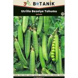 3A Botanik Utrillo Bezelye Tohumu, Yerli ve Sürdürülebilir Tohum, 10 Gram Bezelye Tohumu