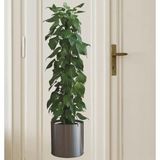 3B Trend 90 * 30 cm Bitki Tasarım Duvar Sticker Bitki Saksı Desen Duvar Çıkartması Duvar Dekorasyonu
