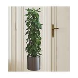 3b Trend 90*30 cm Bitki Tasarım Duvar Sticker Bitki Saksı Desen Duvar Çıkartması Duvar Dekorasyonu - 90 x 30 cm - Renkli
