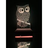 3D Baykuş 16 Renk Gece Lambası