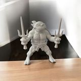 3D Boyama Seti Raphael Ninja
