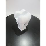 3D Fabrika 3D Baskı Diş Şeklinde Kartlık – Diş Hekimleri Için Şık ve Eğlenceli! 🦷✨ - 001-Beyaz
