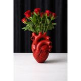3D FABRİKAM Aşkın Kalbi Anatomik Kalp Vazo ♥️