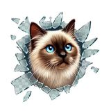 3D Kedi Köpek Araba Çıkartması, Kırık Cam Efektli Araç Stickeri, Kedi-Köpek Tasarımlı Sticker, Araba, Laptop, Dolap, Motor veya Oto Sticker 10 x10 cm (Siamese Cat)