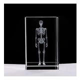 3D Kristal İnsan İskeleti Modeli