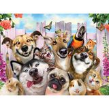 3D - Pet Selfie - 500 Parça Yetişkin Puzzle