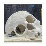 3D Print Studio Kuru Kafa Balık Süsü 16 cm Çap Akvaryum Dekorasyonu İçin Beyaz