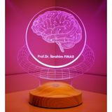 3D Profesör Doktor Beyin Hediyesi Kişiye Özel 3 Boyutlu Led Lamba
