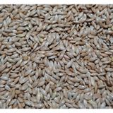 3KG SADE KANARYA YEMİ SÜPER KALİTE