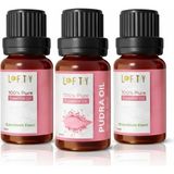 3lü Avantajlı Set Lofty Pudra Saf Uçucu Yağ (10ML) -%100 Doğal Esansiyel Yağ | Buhurdanlık, Difüzör ve Oda Kokusu Için Ferahlatıcı Etki - 001-Renkli - 100 x 100 cm