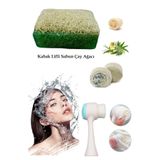 3'lü Cilt Yenileme Çift Taraflı Yüz Temizleme Fırçası Arındırıcı Peeling Kabak Lifli Çay Ağacı Sabun
