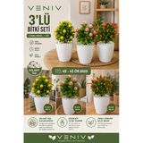 3’Lü Dekoratif Yapay Bitki Seti | 40-45 Cm | Dolamit Taşlı | 10 Meyveli