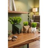 3’lü Geometrik Fil Saksı Biblo Seti - Modern Sukulent Saksısı - PLA Plastik - Yapay Çiçekli Beyaz 12 x 12