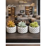 3'lü Mini Saksı Seti 5 cm – El Yapımı Dekoratif Beton Saksı / Küçük Sukulent Saksısı, Ma - Çok Renkli