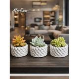 3’lü Mini Saksı Seti 5 cm – El Yapımı Dekoratif Beton Saksı | Küçük Sukulent Saksısı, Masa & Raf Dekoru, Modern Minimal Tasarım (Bitki Dahil Değildir)