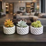3’Lü Mini Saksı Seti 5 Cm – El Yapımı Dekoratif Beton Saksı | Küçük Sukulent Saksısı, Masa & Raf Dekoru, Modern Minimal Tasarım (Bitki