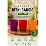 3’Lü Orkide Saksısı Seti 1.25 Litre – Dekoratif Renkli Plastik Saksı Seti