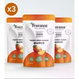 3'Lü Paket Dondurularak Kurutulmuş Mango (Freeze Dried Mango) Freeze Dry Mango Kurusu 3X15 Gr