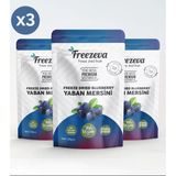 3'Lü Paket Dondurularak Kurutulmuş Yaban Mersini (Freeze Dried Yaban Mersini 3X20 Gr