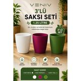 3’Lü Saksı Seti - Canlı Renkler, Modern Tasarım - Orkide Saksısı 1.25 L