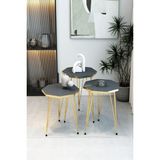 3'lü Sekizgen Zigon Sehpa Seti - Gold Metal Ayaklı, Modern & Şık Yan Sehpa, Dayanıklı Salon Ofis - Antrasit