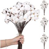 3lü Set Doğal Pamuk Çiçeği 30 Adet Tekli Dal Kuru Çiçek 30CM Yapay Çiçek - Beyaz