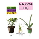 3'lü Set Para Çiçeği+ Kılıç Çiçeği+Hediyelik Kurdele Çiçeği