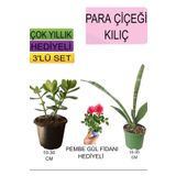 3'lü Set Para Çiçeği+ Kılıç Çiçeği+Hediyelik Pembe Gül, BTSNU22042477