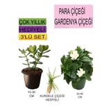 3'lü Set Para Çiçeği+Gardenya Çiçeği+Hediyelik Kurdele Çiçeği