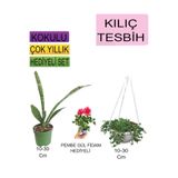 3'lü Set Tek Dikim Kılıç+Askılı Saksılı Tesbih+Hediyelik Pembe Gül Fidanı