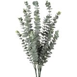 3lü Set Yapay Çiçek Pastel Yeşil Okaliptus 3dallı Uzun Dal 76cm Eucalyptus