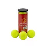 3'lü Tenis Topu - Lisinya