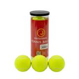 3’Lü Tenis Topu Seti Antrenman Günlük Kullanım İçin İdeal
